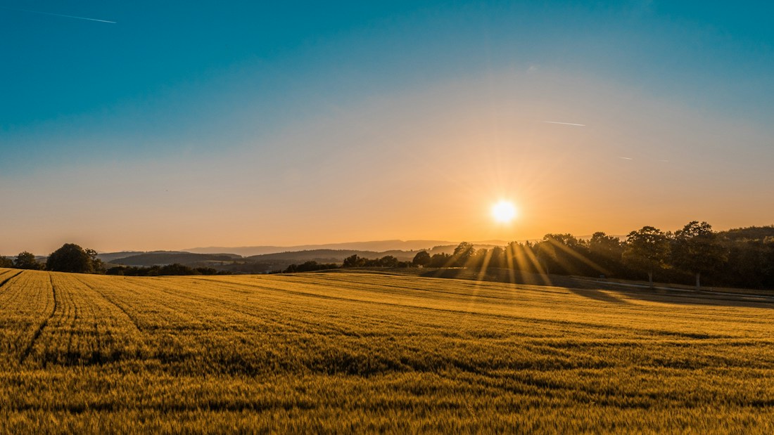 Green agricultural fields and rolling farmland